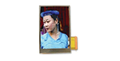 Densitron OLED Displays